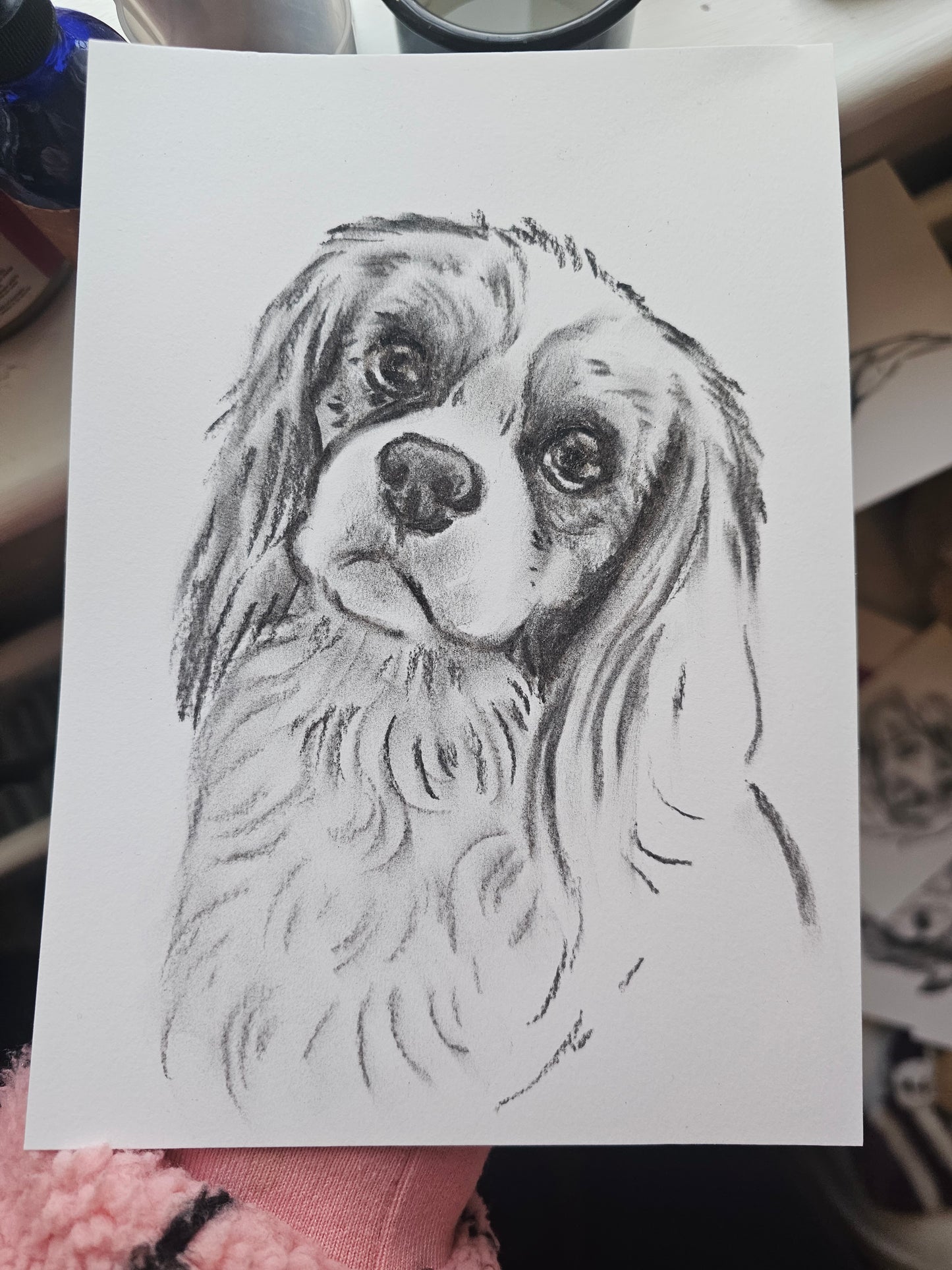 Charcoal Custom Pet Sketch