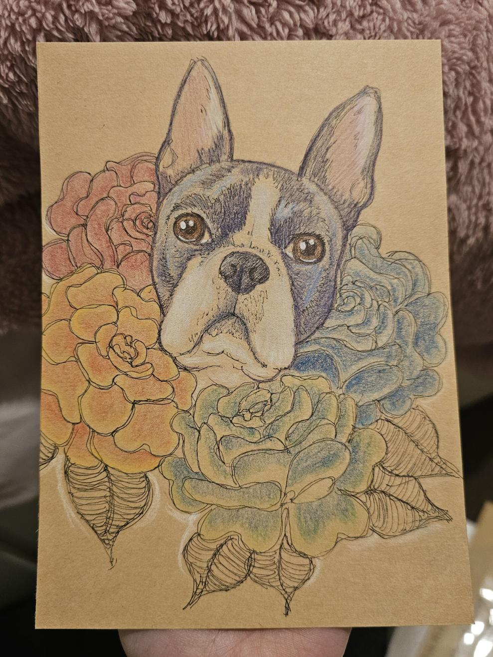 Boston Terrier Pencil and Ink Original Artwork