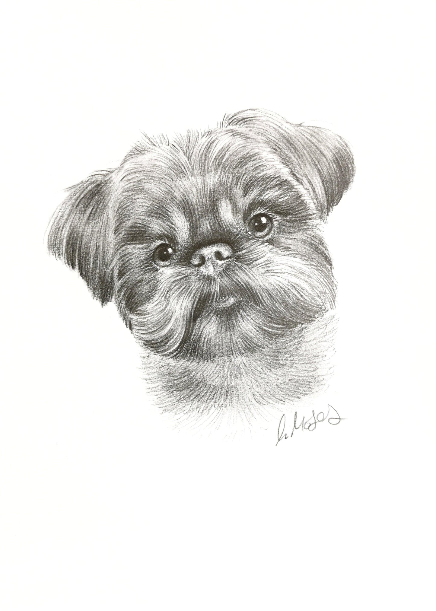 Pencil Custom Pet Portrait - Jolly Pet Portraits