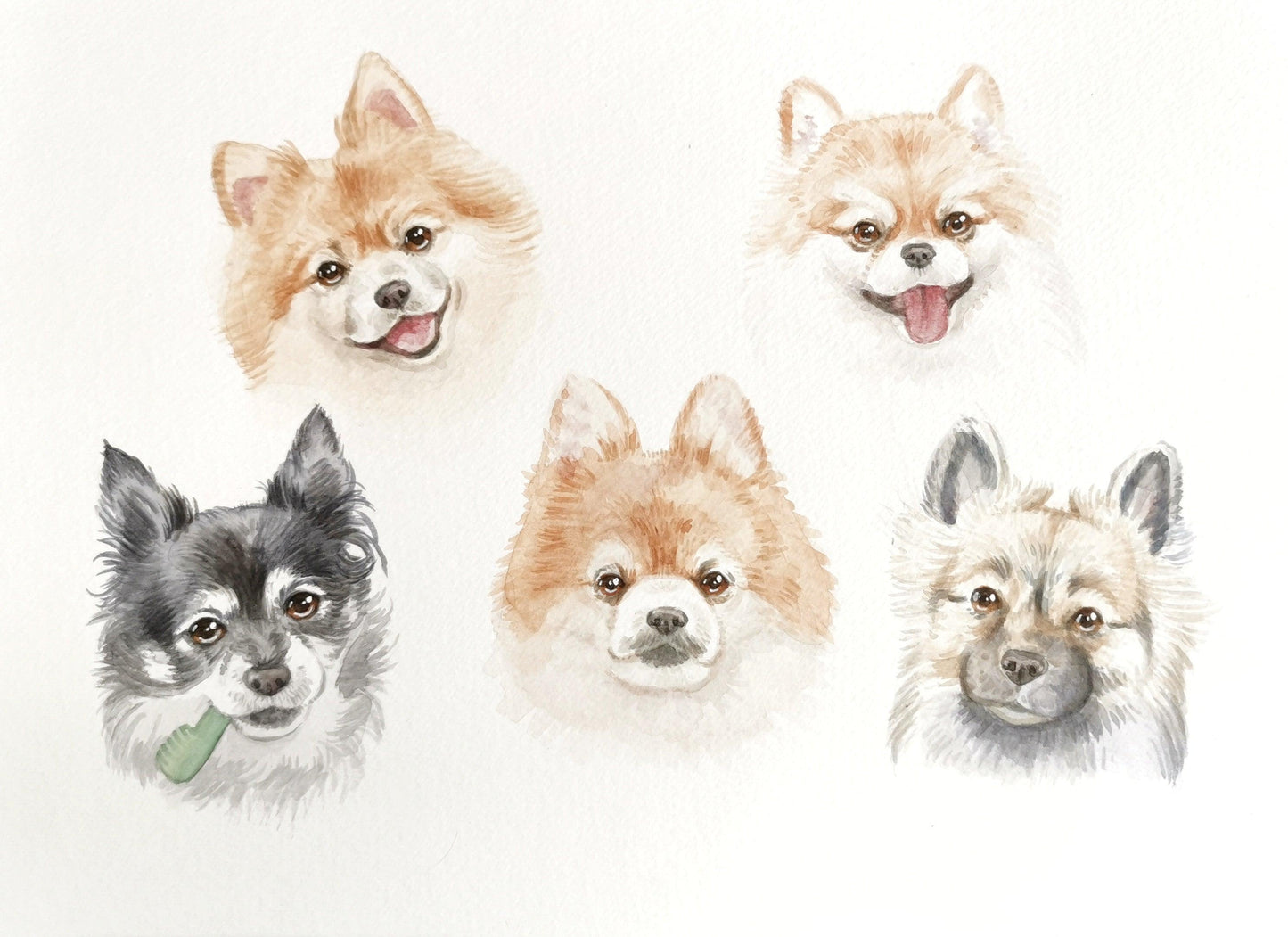 Watercolour Custom Pet Portrait - Jolly Pet Portraits 