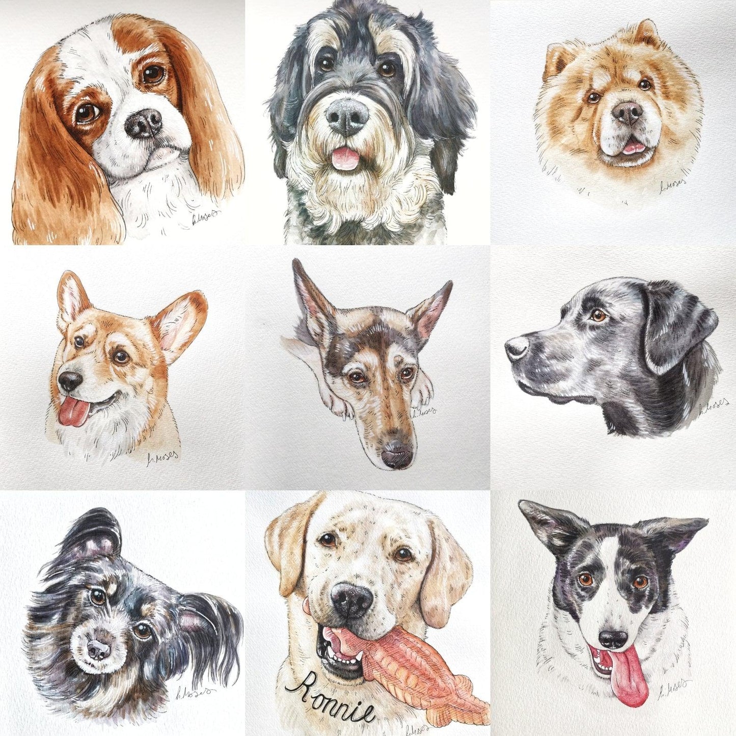 Ink and Watercolour Custom Pet Portrait - Jolly Pet Portraits
