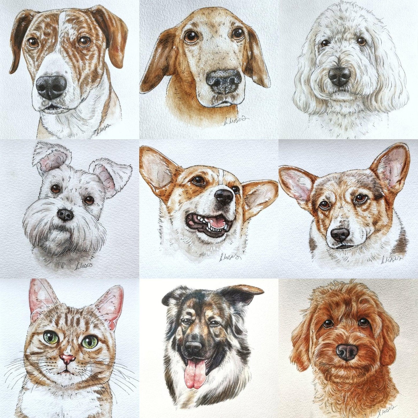 Ink and Watercolour Custom Pet Portrait - Jolly Pet Portraits