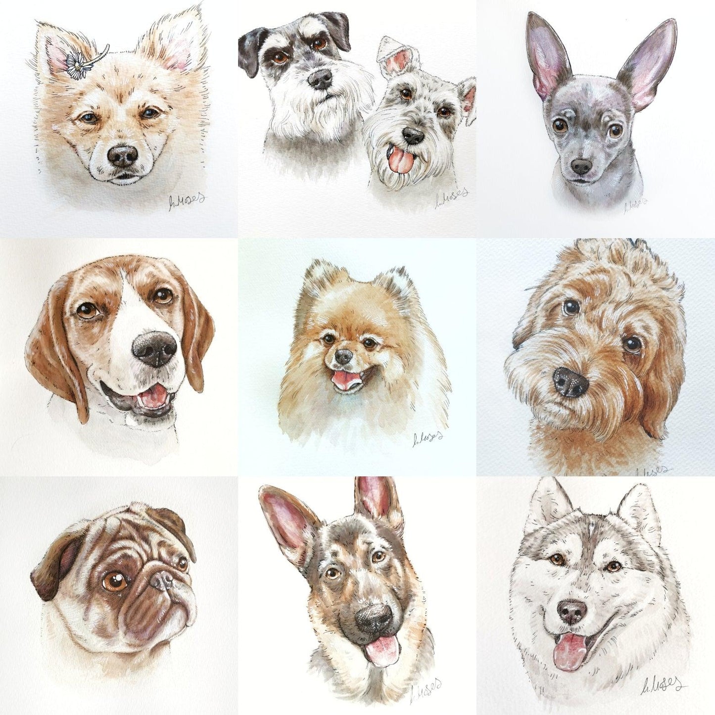 Ink and Watercolour Custom Pet Portrait - Jolly Pet Portraits