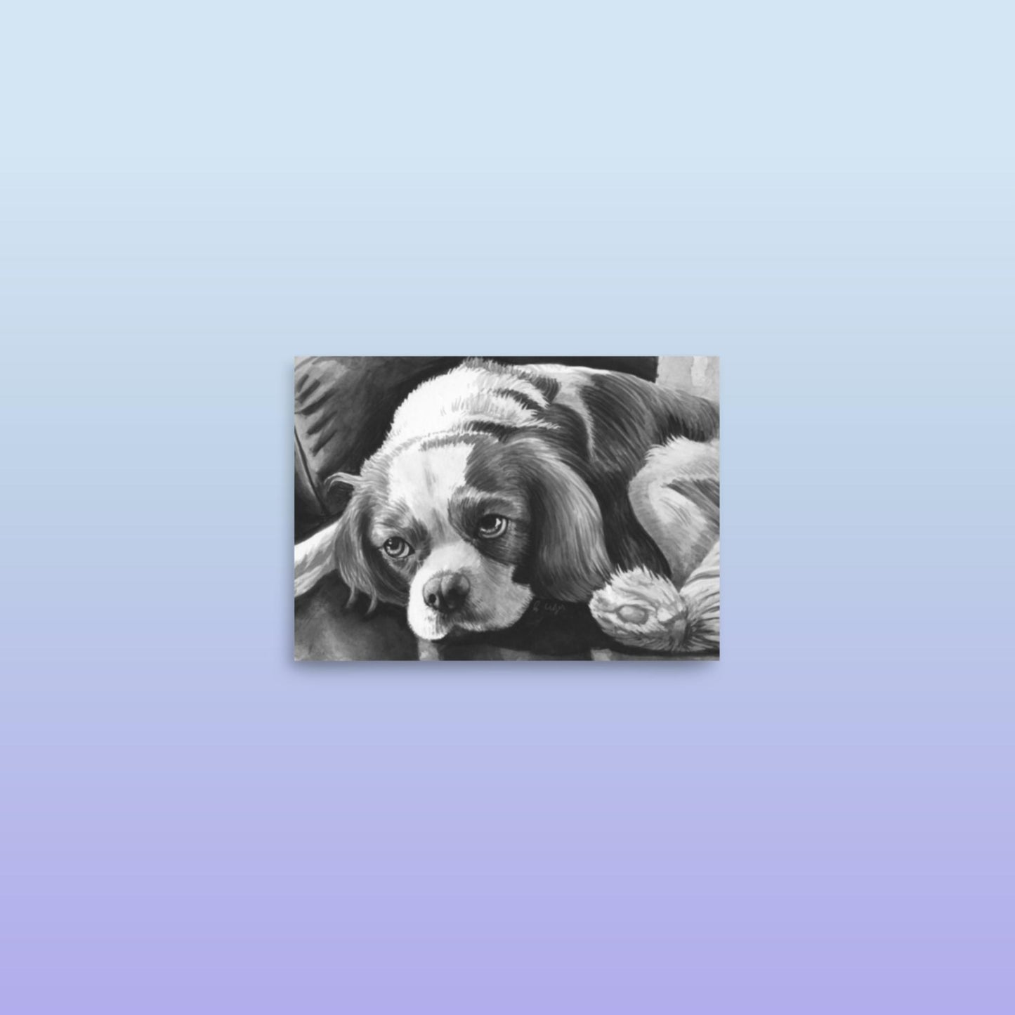 Poster - Jolly Pet Portraits