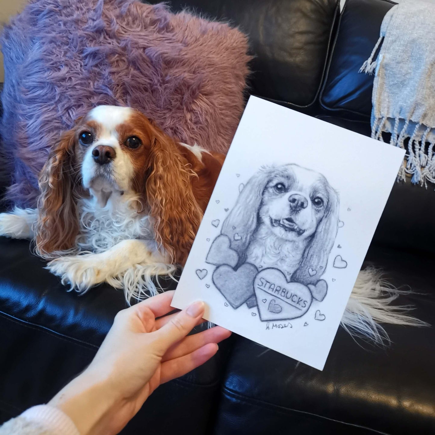 Charcoal Custom Pet Caricature - Jolly Pet Portraits