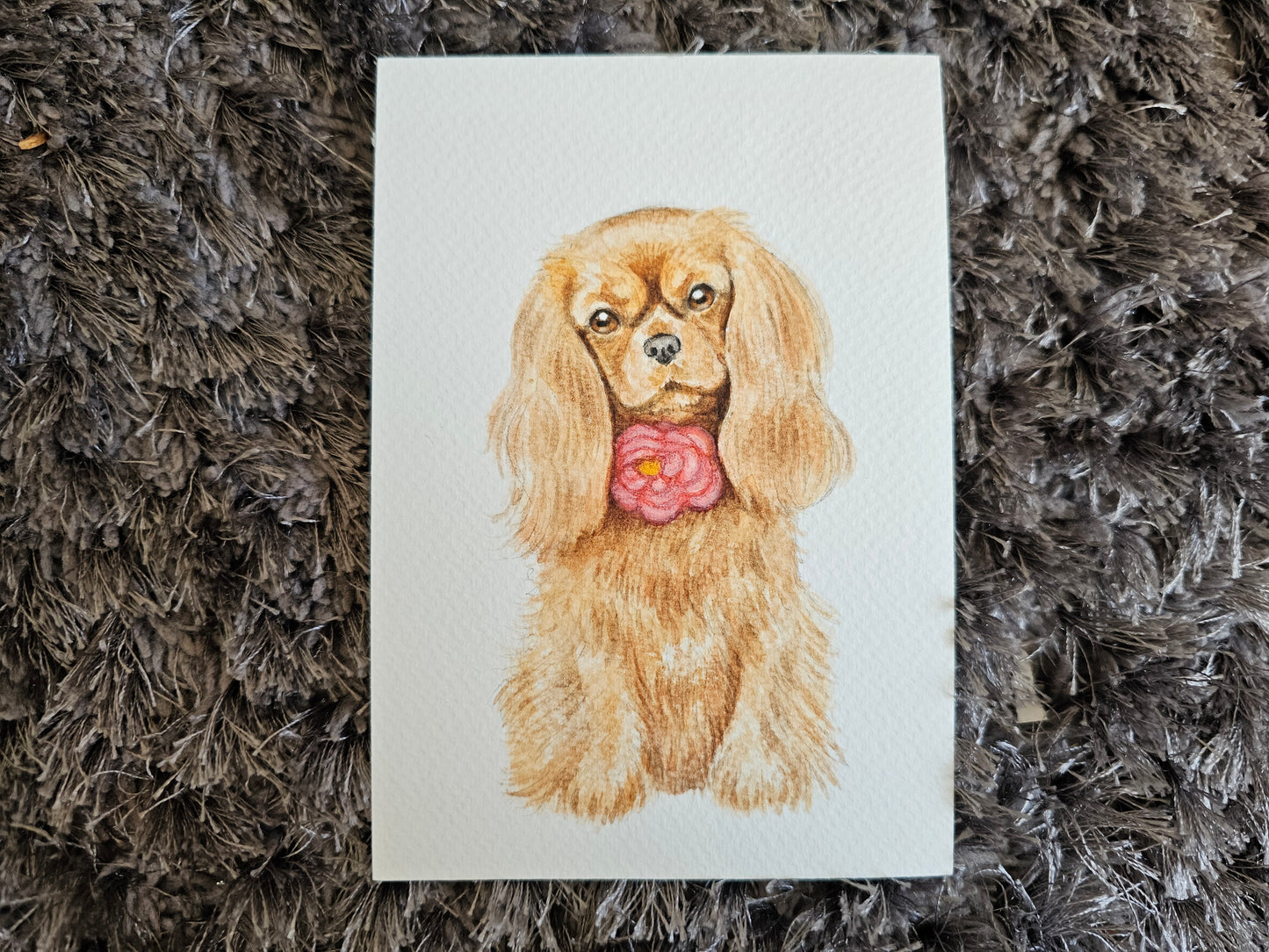 A6 Ruby Cavalier Watercolour Original Painting