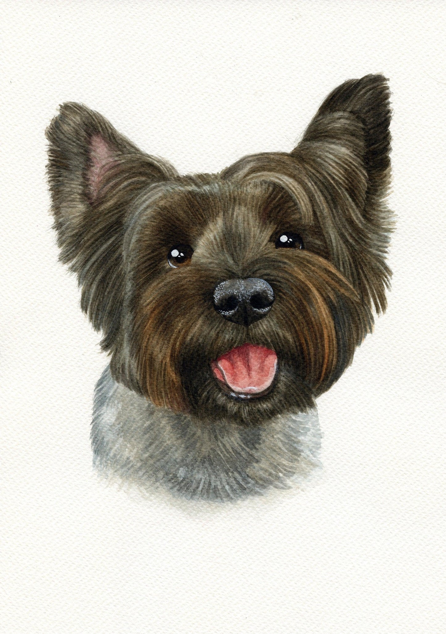 Watercolour Custom Pet Portrait - Jolly Pet Portraits