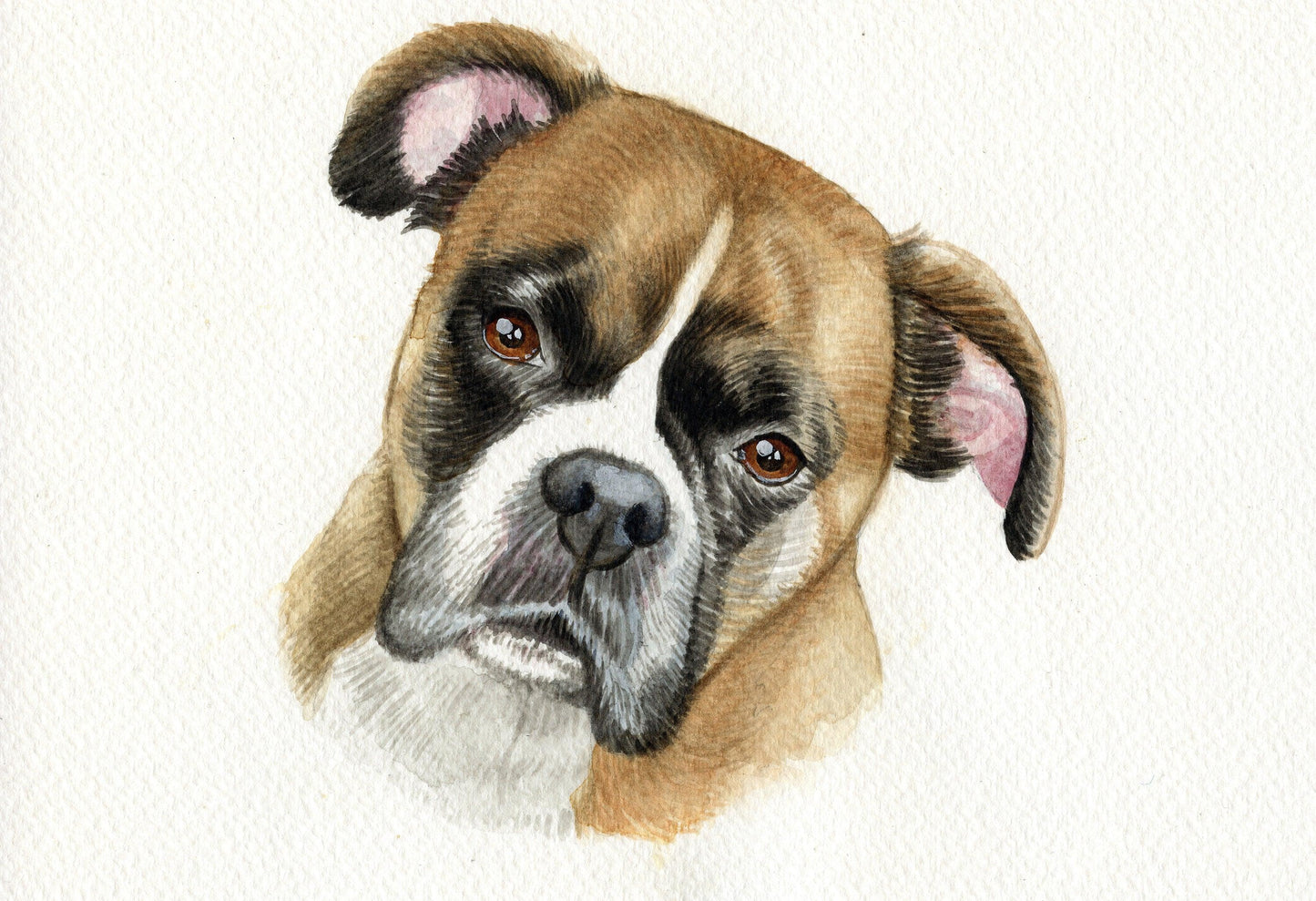 Watercolour Custom Pet Portrait - Jolly Pet Portraits 