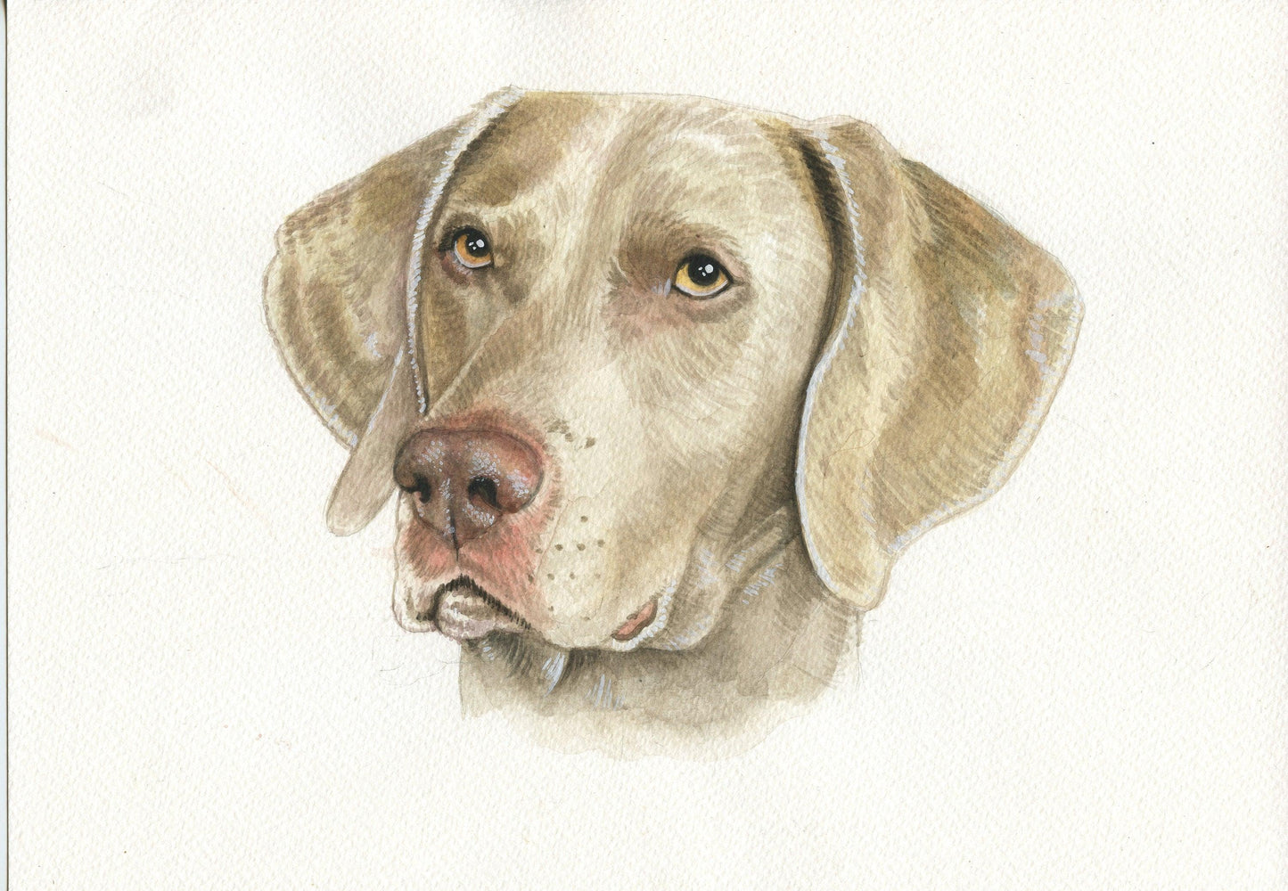 Watercolour Custom Pet Portrait - Jolly Pet Portraits 