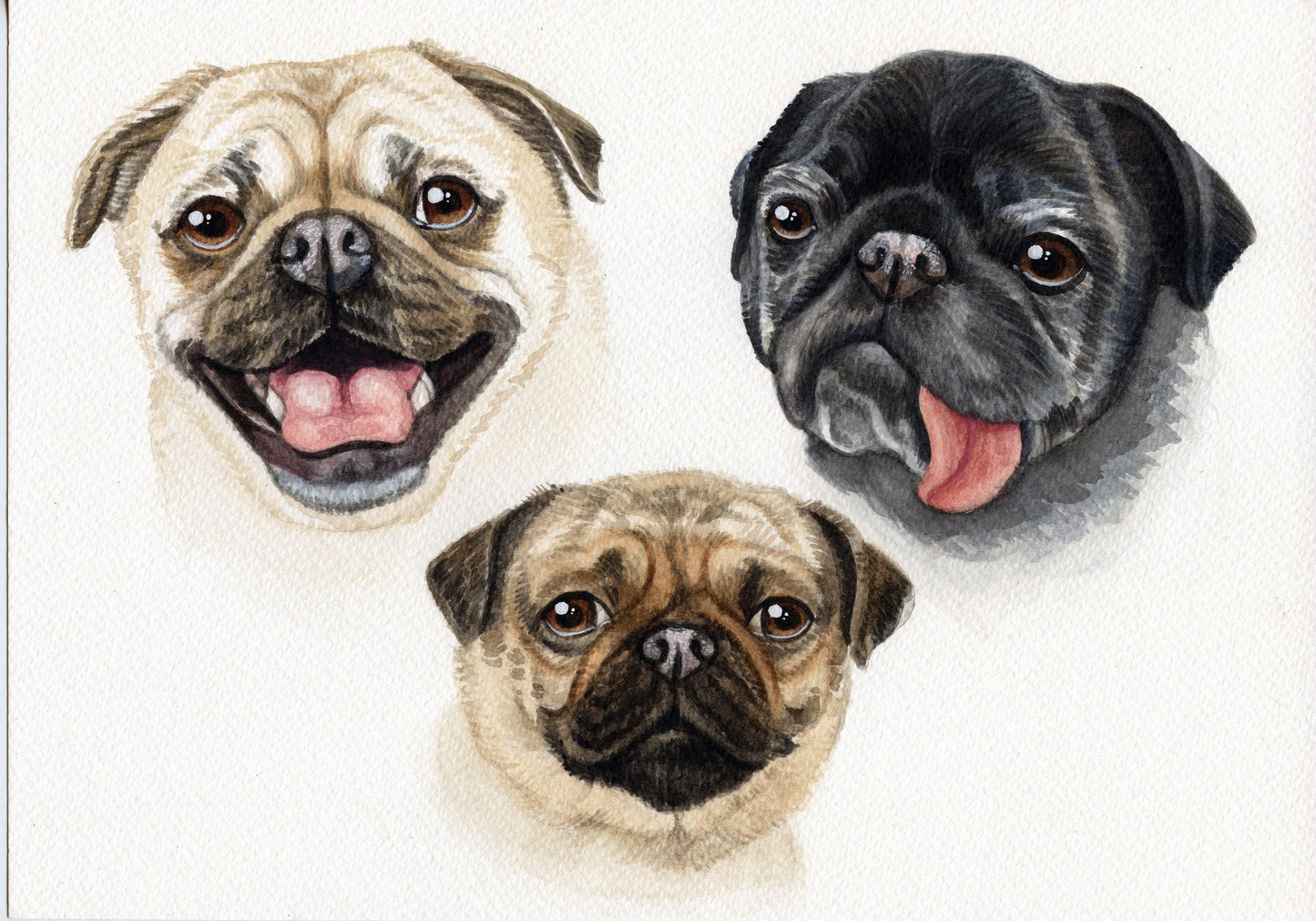 Watercolour Custom Pet Portrait - Jolly Pet Portraits 