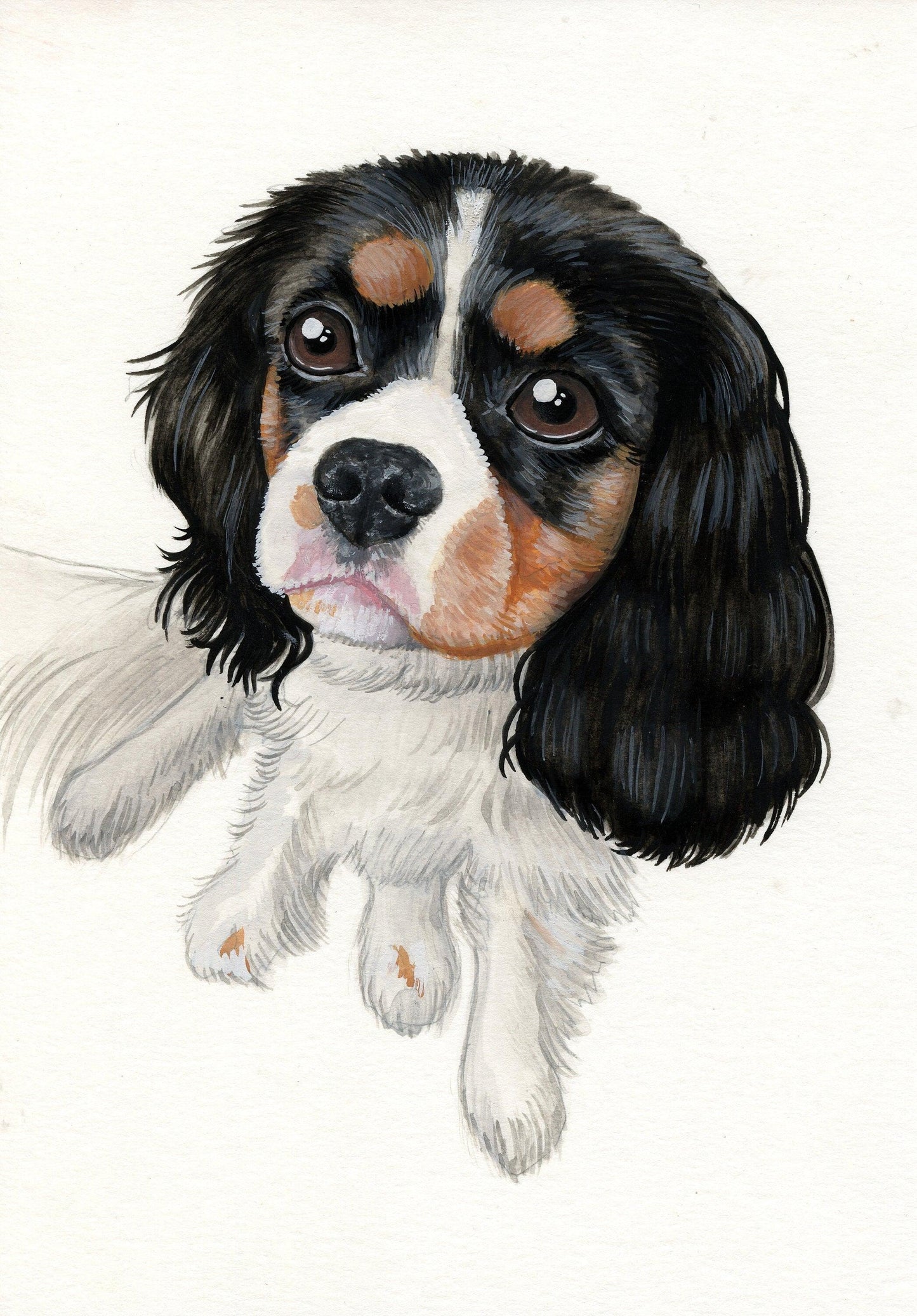 Gouache Custom Pet Portrait - Jolly Pet Portraits 