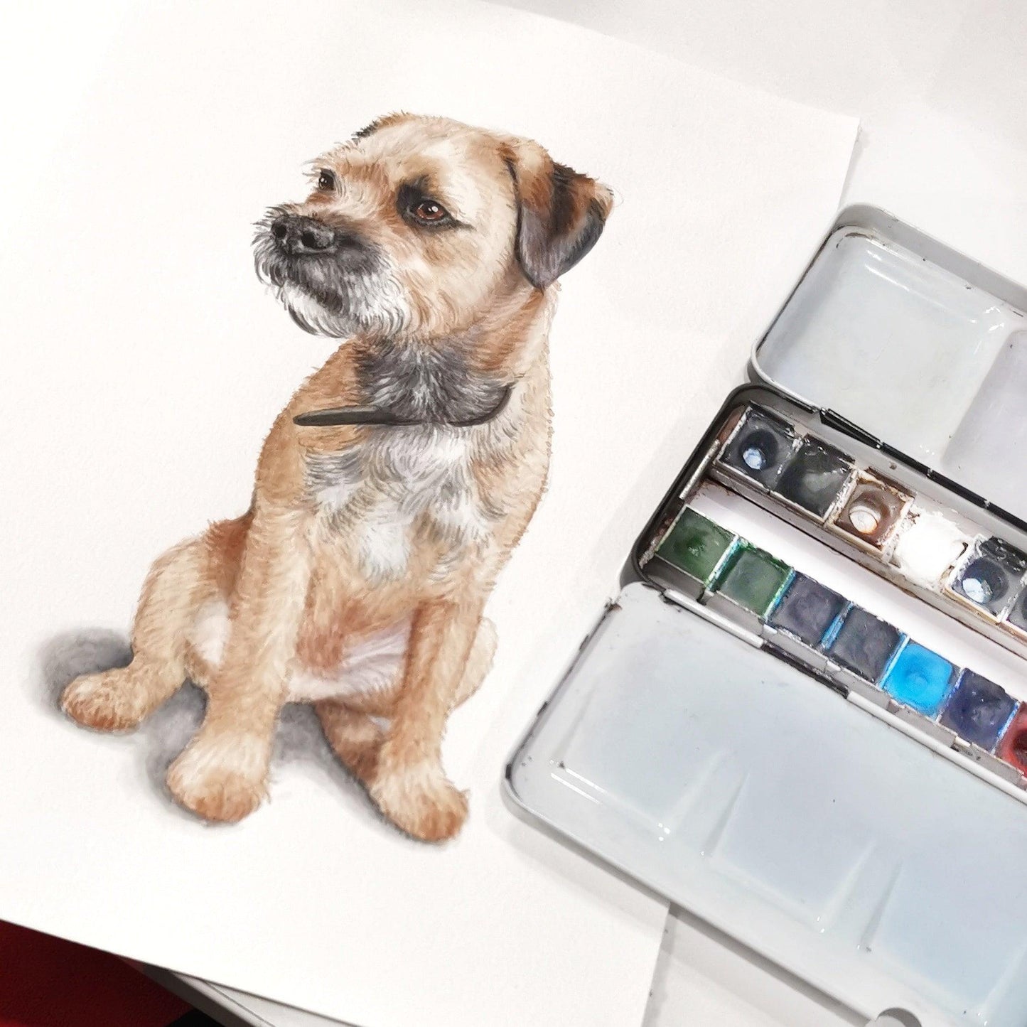 Watercolour Custom Pet Portrait - Jolly Pet Portraits 