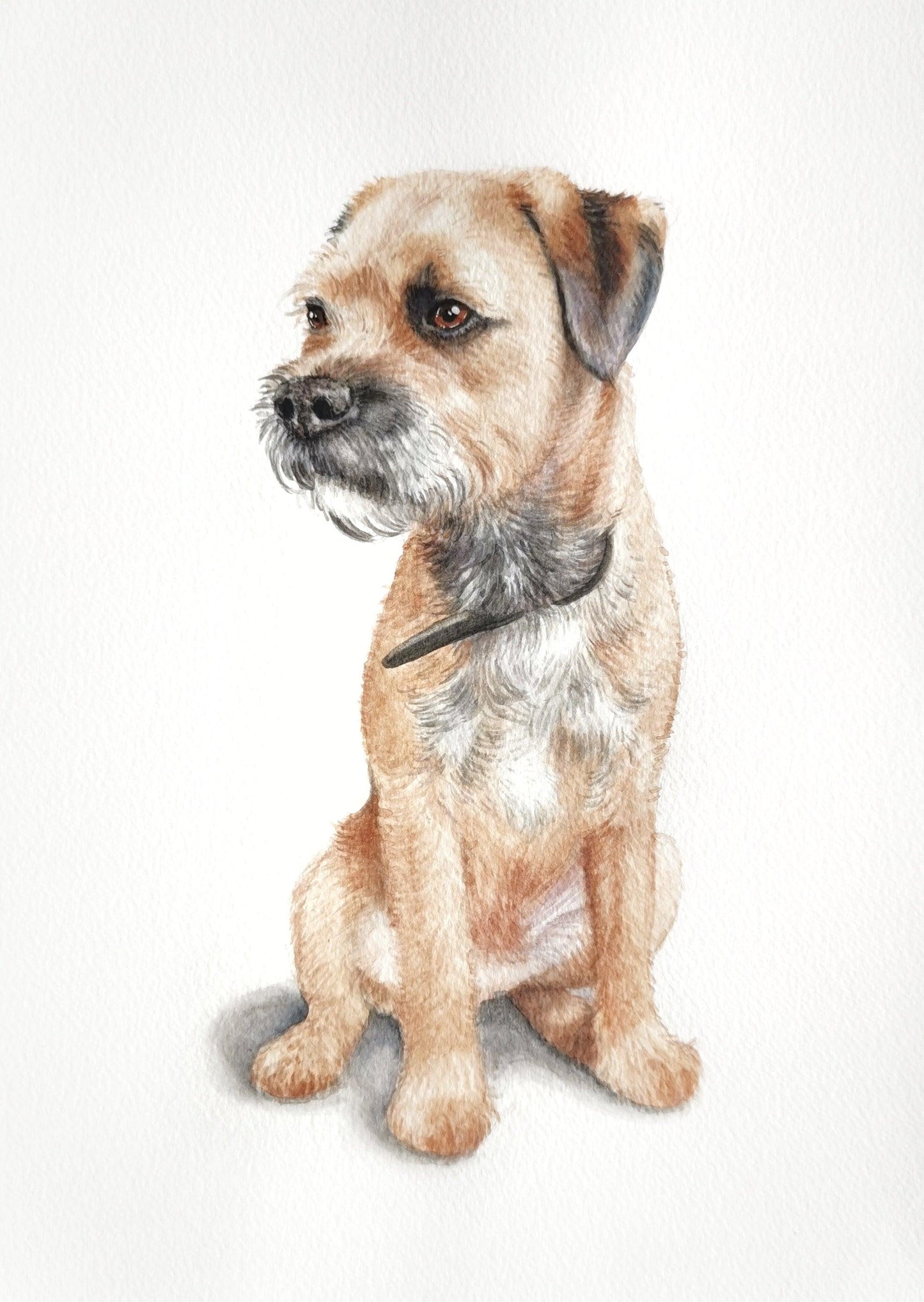 Watercolour Custom Pet Portrait - Jolly Pet Portraits 