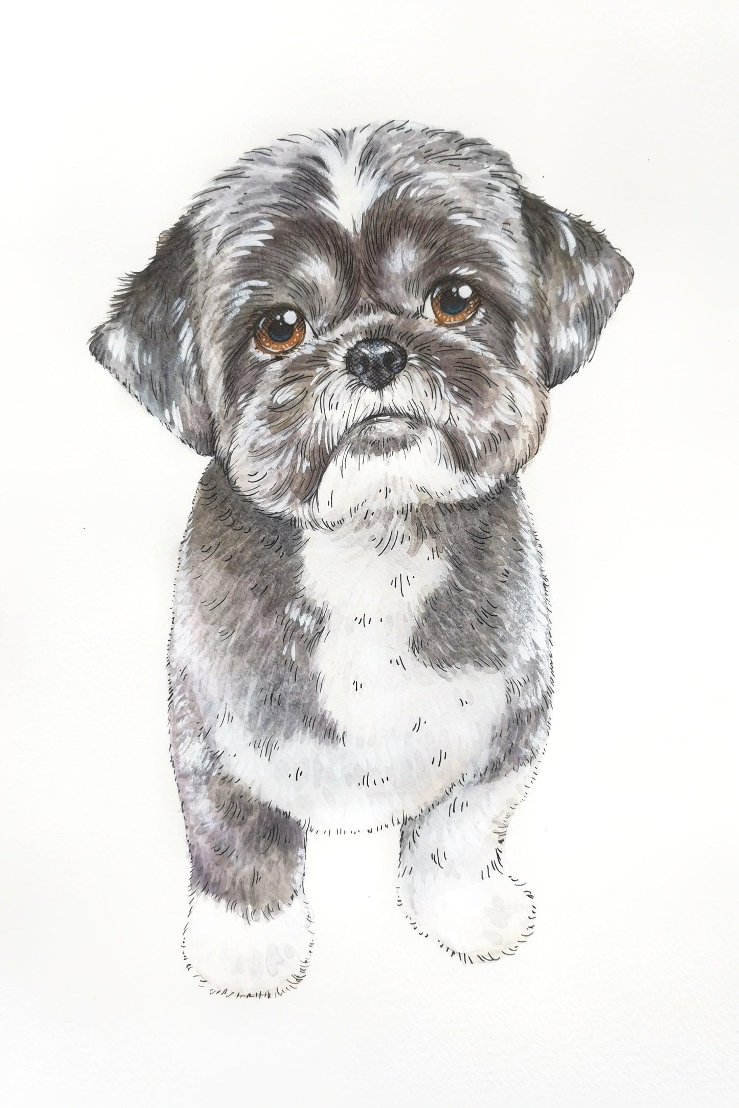 Ink and Watercolour Custom Pet Portrait - Jolly Pet Portraits