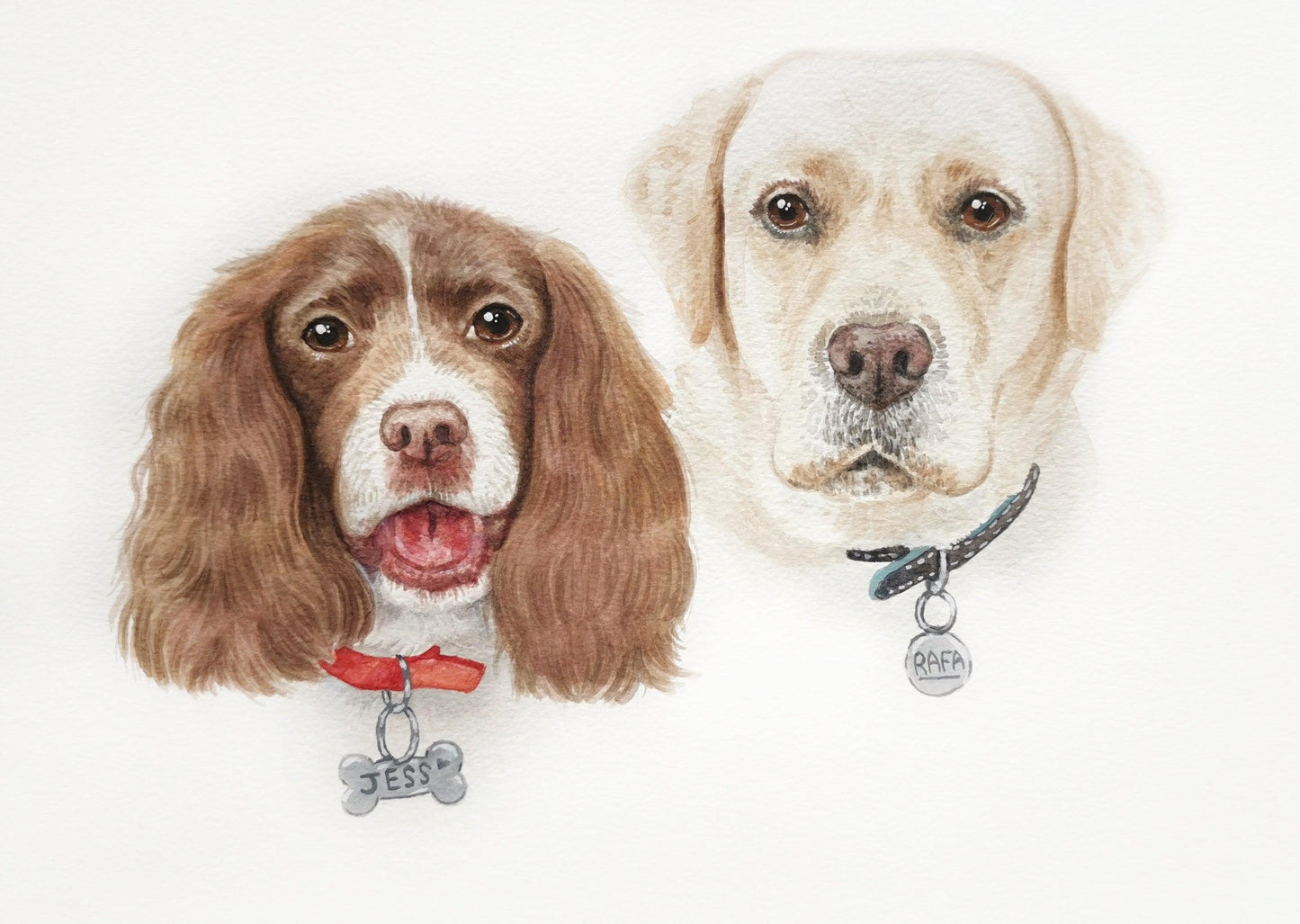 Watercolour Custom Pet Portrait - Jolly Pet Portraits