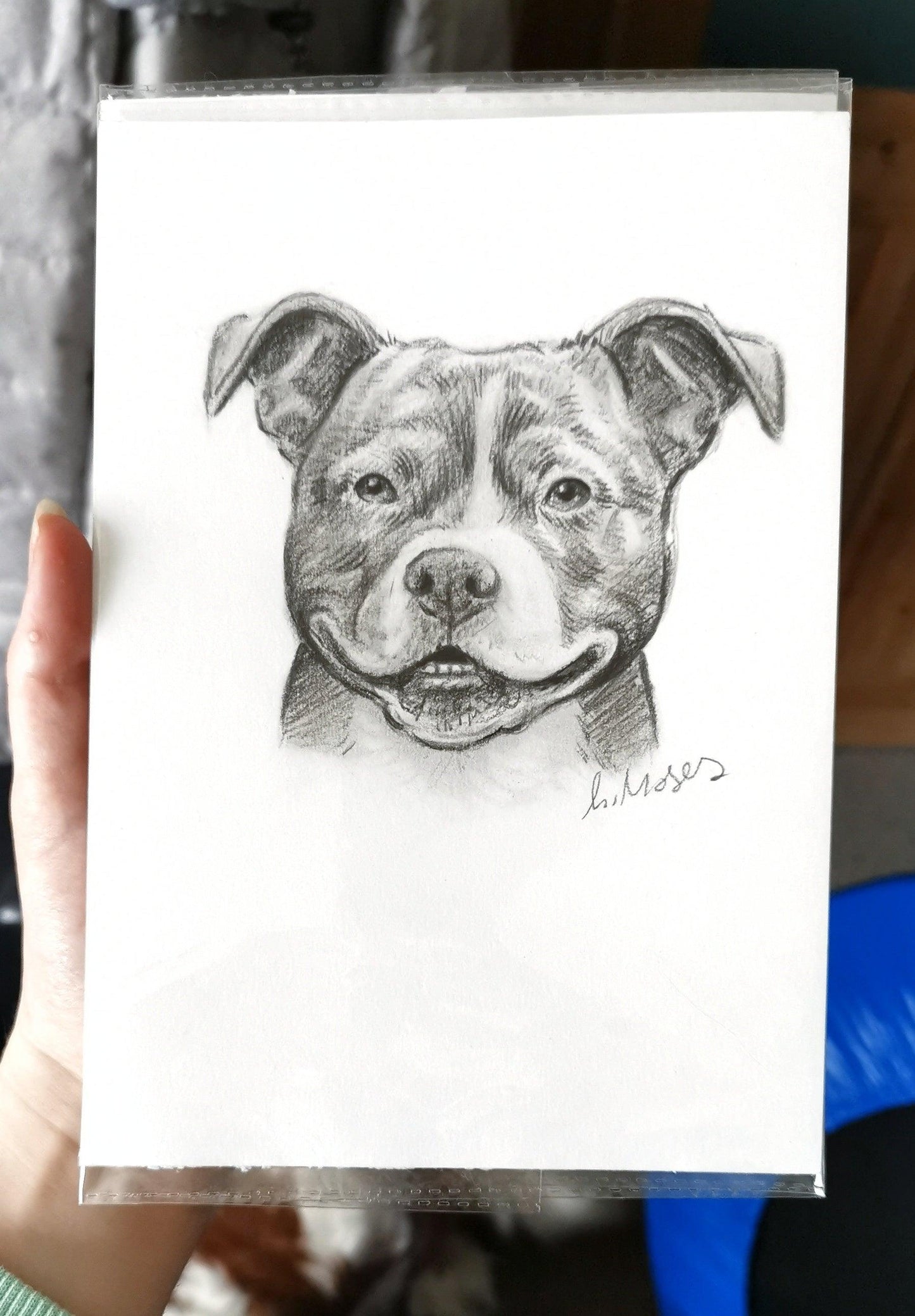 Charcoal Custom Pet Caricature - Jolly Pet Portraits 