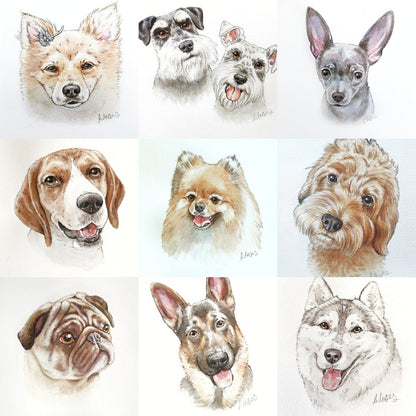 Ink and Watercolour Custom Pet Portrait - Jolly Pet Portraits 