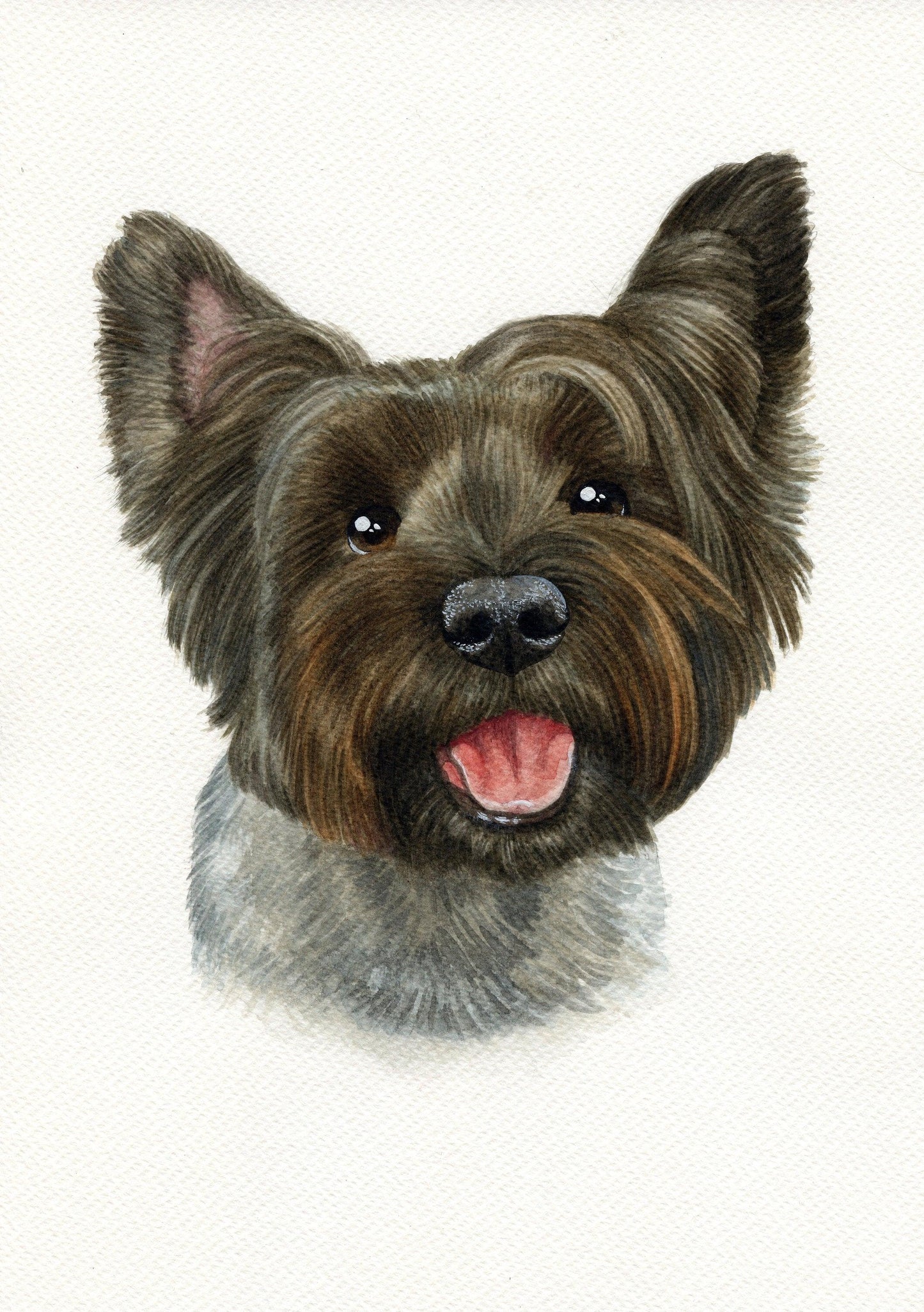 Watercolour Custom Pet Portrait - Jolly Pet Portraits 