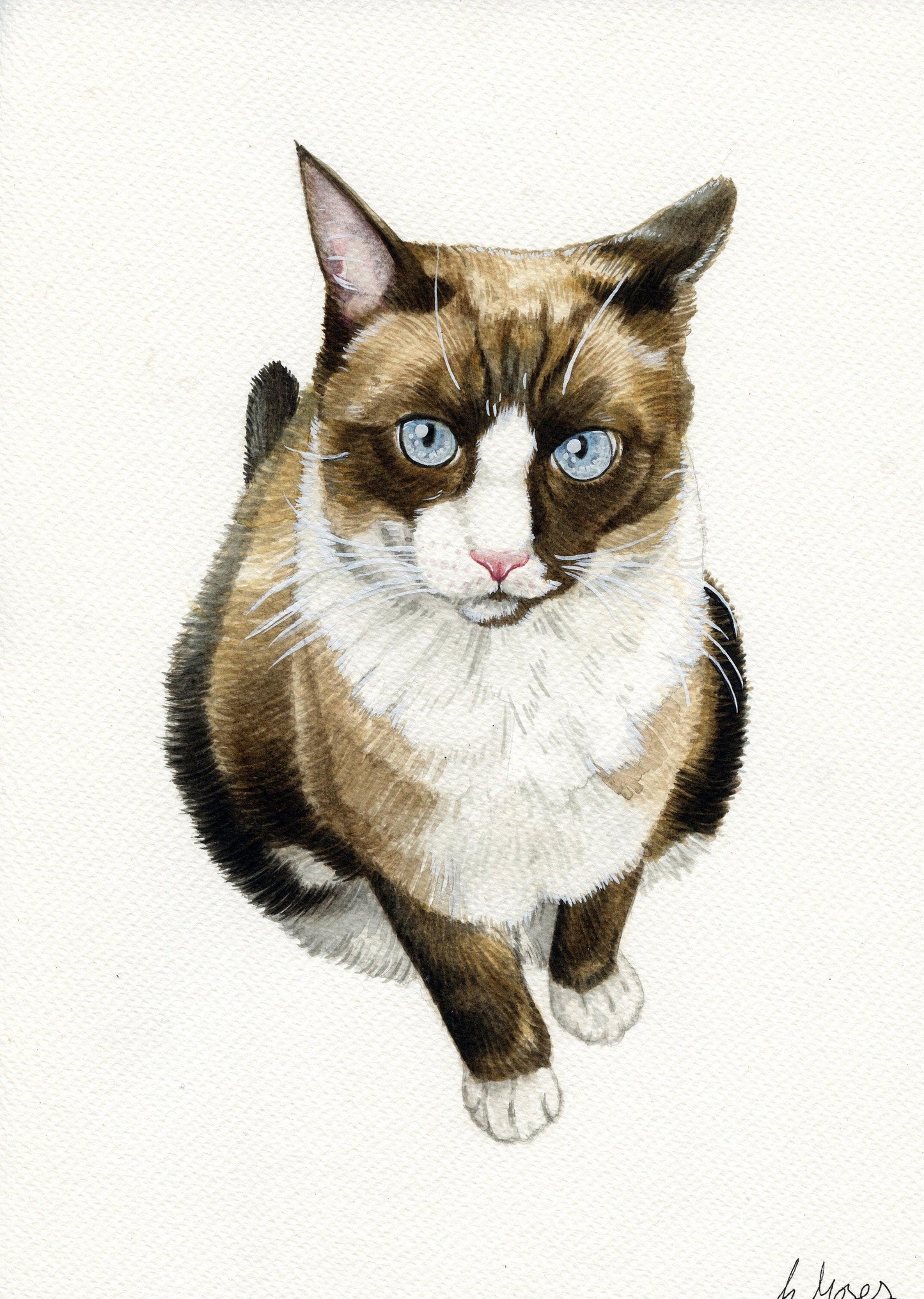 Watercolour Custom Pet Portrait - Jolly Pet Portraits 