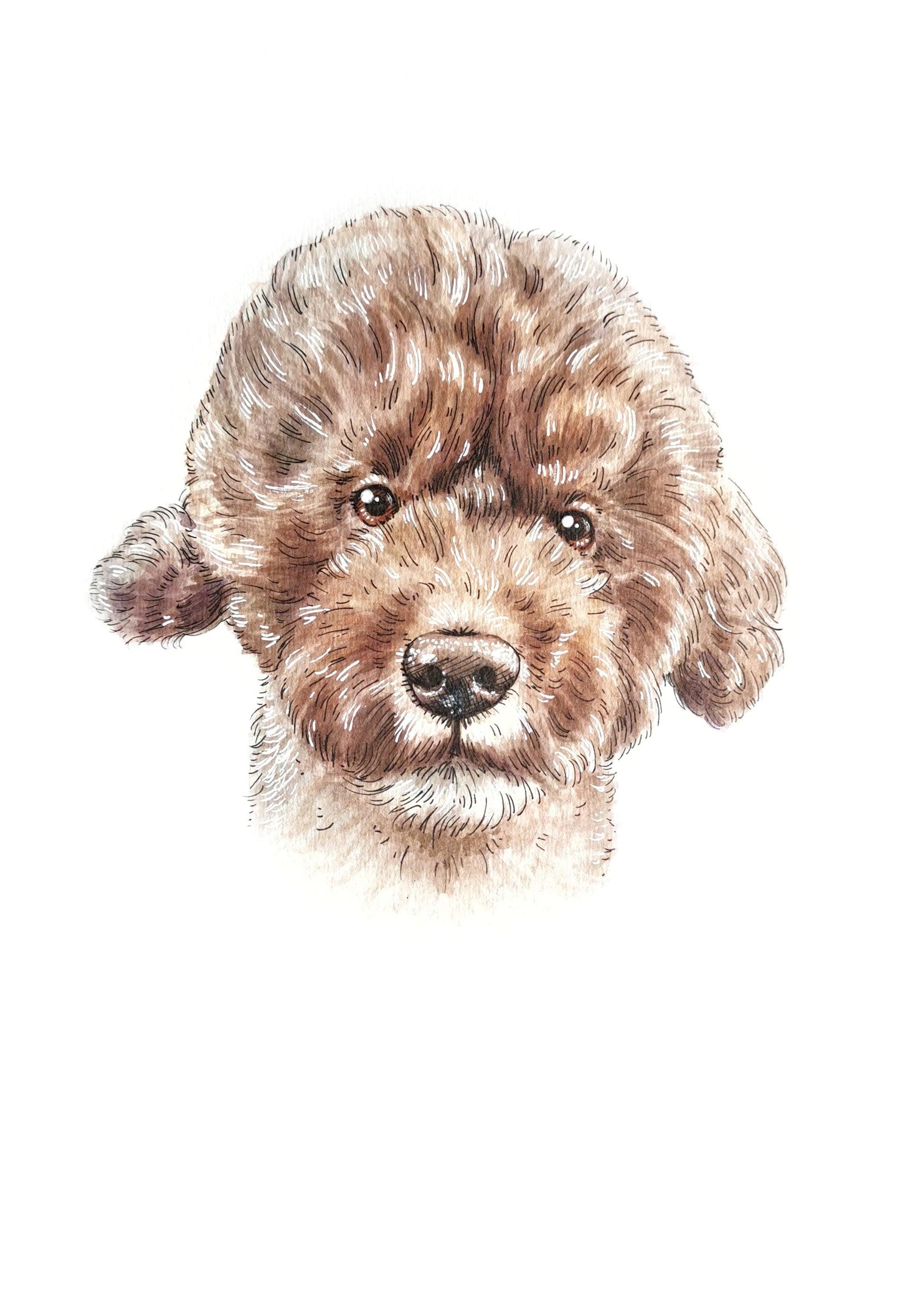 Ink and Watercolour Custom Pet Portrait - Jolly Pet Portraits 